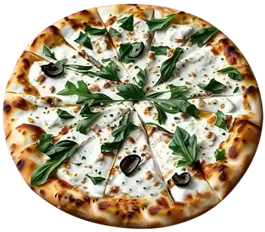 Dish showcase 1